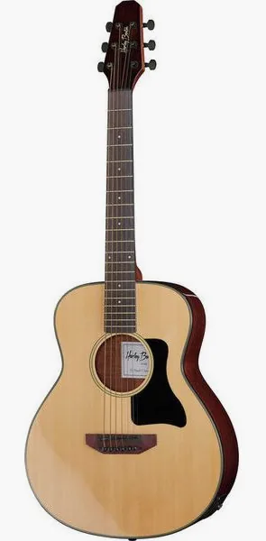Harley Benton GS-Travel-E Spruce vooraanzicht