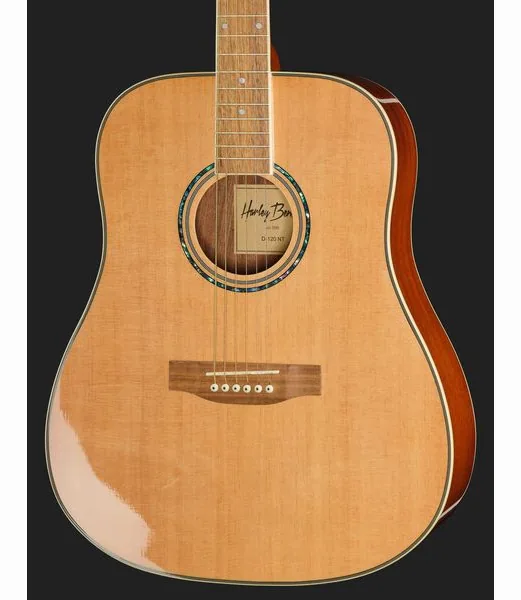 Harley Benton D-120NT detail 4