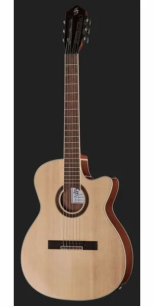 Harley Benton Santos Series C-40SCE N w/Bag detail 2