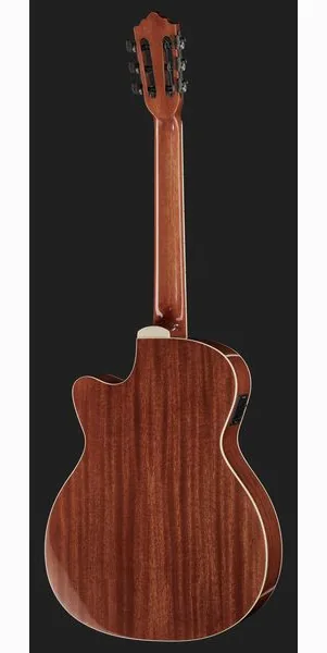 Harley Benton Santos Series C-40SCE N w/Bag detail 3