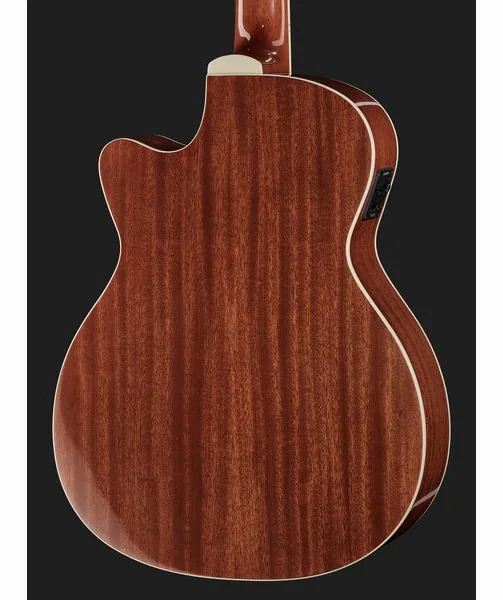 Harley Benton Santos Series C-40SCE N w/Bag detail 5