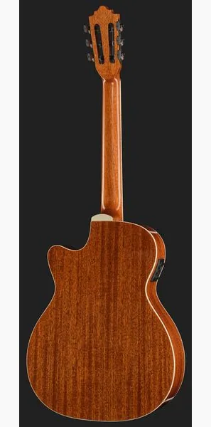 Harley Benton Santos Series C-40SCE NT detail 3