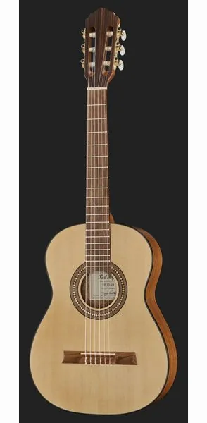 Höfner HF-13-3/4 w/GigBag detail 2