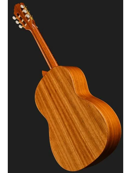 Höfner HF-Special B-Stock w/GB detail 5