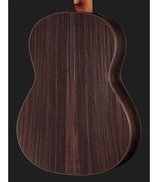 Höfner HM89-0 Master Classic Guitar detail 5