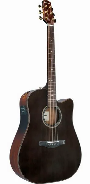 Ibanez AAD361CE-TKR detail 2