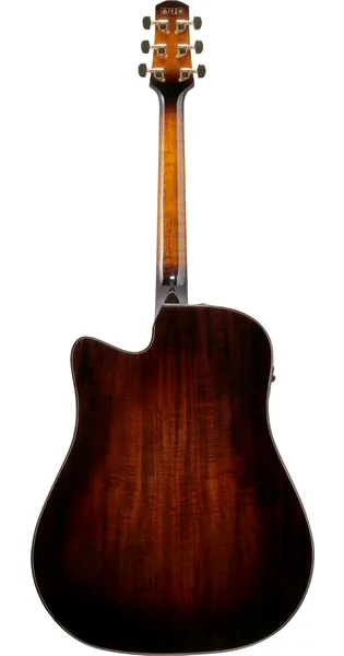 Ibanez AAD361CE-TKR detail 3
