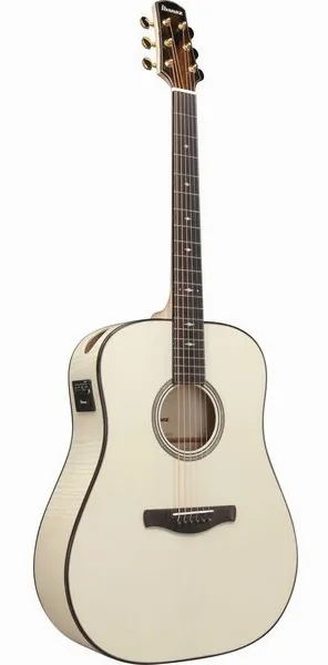 Ibanez AAD371E-ATW detail 2