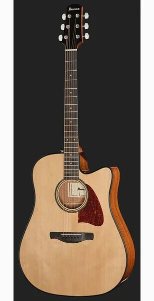 Ibanez AAD51CE-NT detail 2