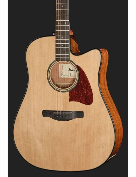 Ibanez AAD51CE-NT detail 4