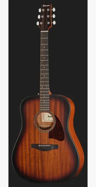Ibanez AAD54E-OMH detail 2