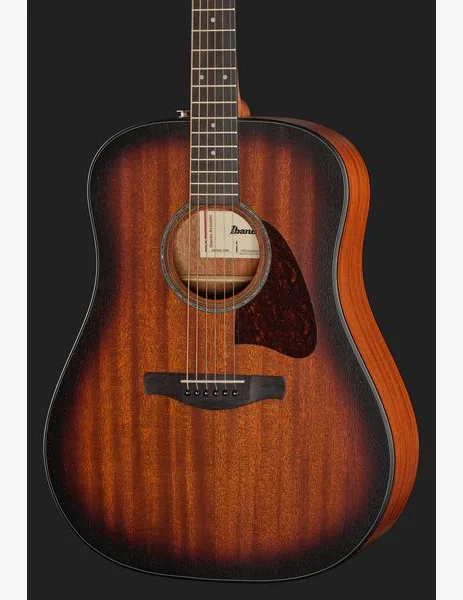 Ibanez AAD54E-OMH detail 4