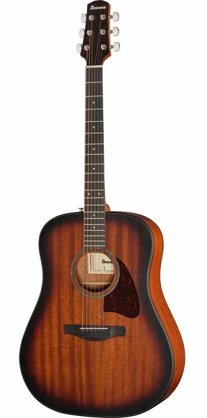 Ibanez AAD54E-OMH vooraanzicht