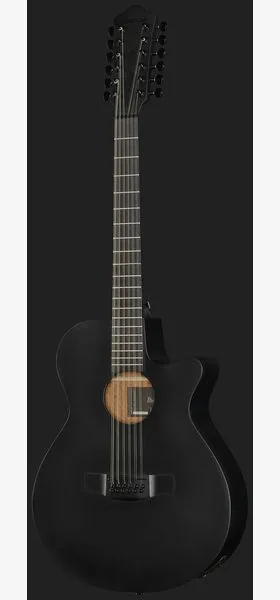 Ibanez AEG1221-BOT detail 2