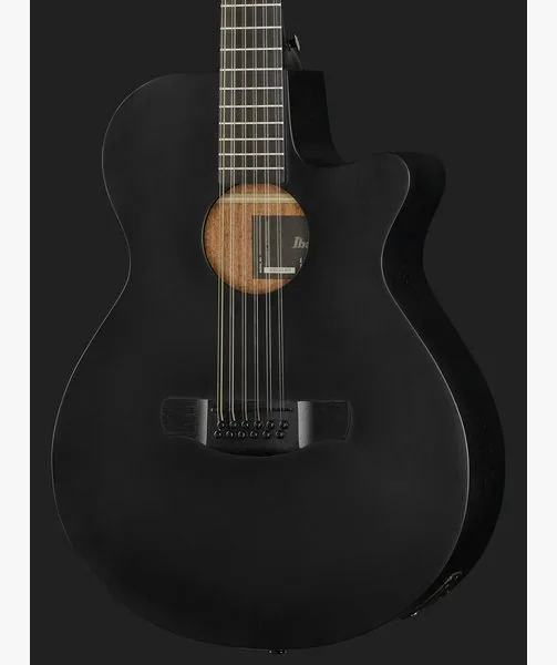 Ibanez AEG1221-BOT detail 4
