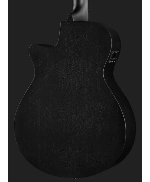 Ibanez AEG1221-BOT detail 5