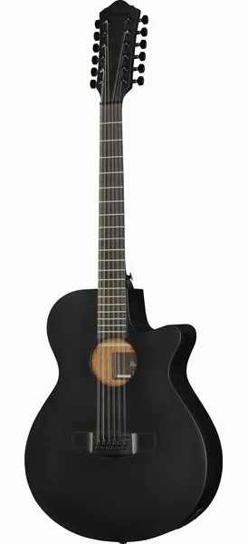 Ibanez AEG1221-BOT vooraanzicht