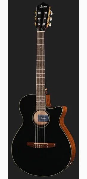 Ibanez AEG50N-BKH Nylon detail 2