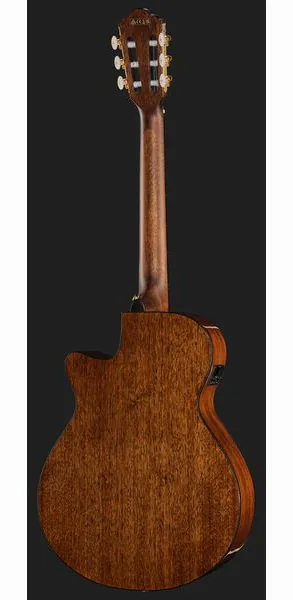 Ibanez AEG50N-BKH Nylon detail 3