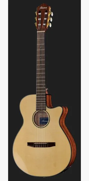 Ibanez AEG50N-NT Nylon detail 2