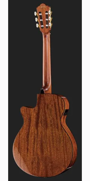Ibanez AEG50N-NT Nylon detail 3