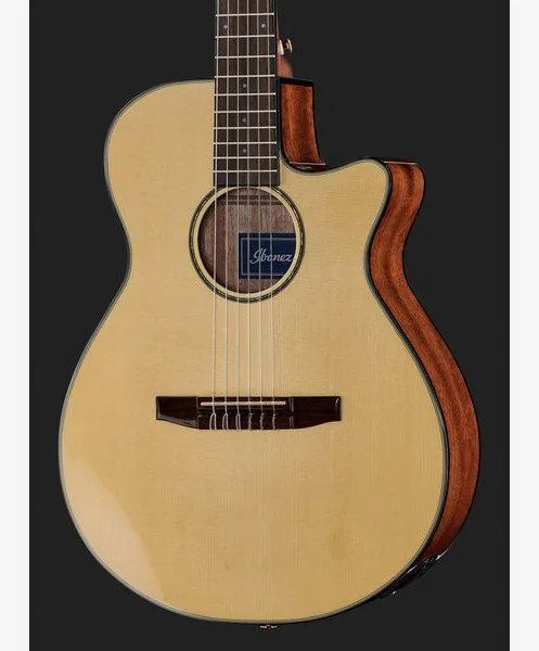 Ibanez AEG50N-NT Nylon detail 4