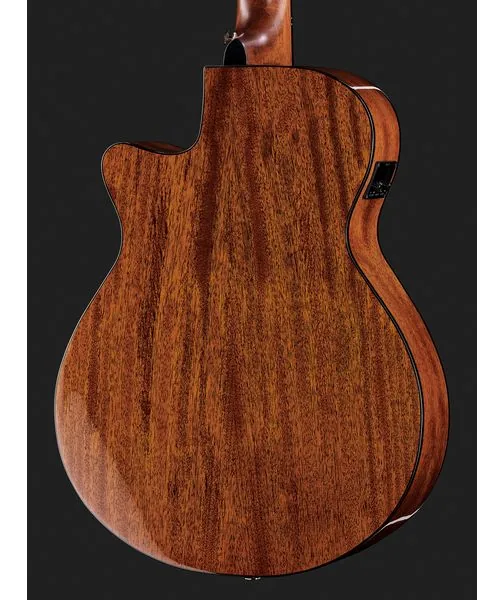 Ibanez AEG50N-NT Nylon detail 5