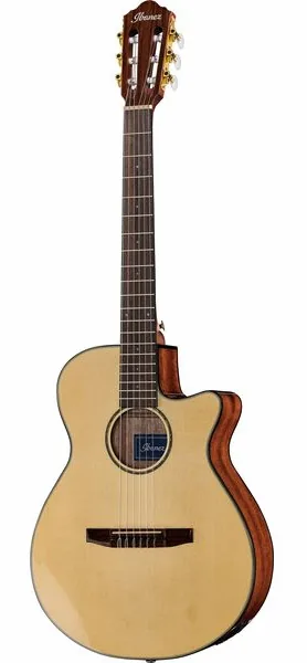 Ibanez AEG50N-NT Nylon vooraanzicht