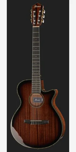 Ibanez AEG74N-MHS detail 2