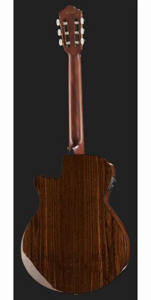 Ibanez AEG74N-MHS detail 3