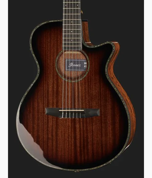 Ibanez AEG74N-MHS detail 4