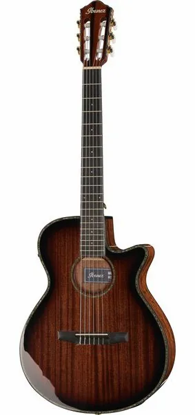 Ibanez AEG74N-MHS vooraanzicht