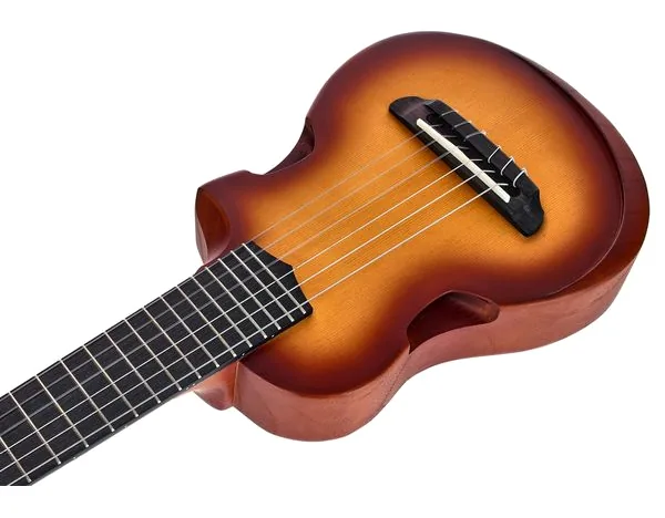 Ibanez AUP10N-OLB detail 5