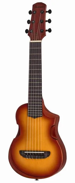 Ibanez AUP10N-OLB vooraanzicht