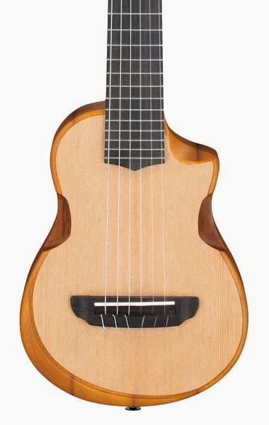 Ibanez AUP10N-OPN detail 4