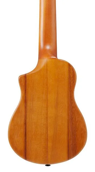 Ibanez AUP10N-OPN detail 5