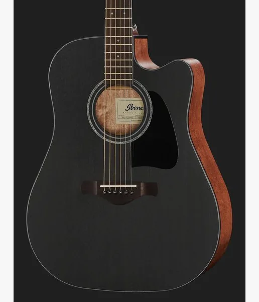Ibanez AW247CE-WKH detail 4