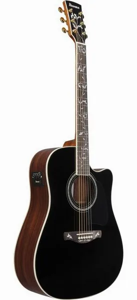 Ibanez AW391RCE-BKH detail 2
