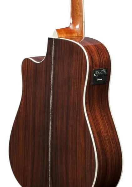 Ibanez AW391RCE-BKH detail 5