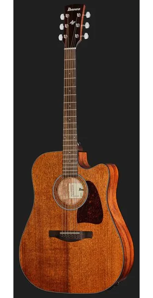 Ibanez AW54CE-OPN detail 2
