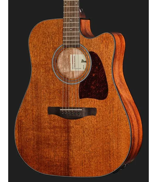 Ibanez AW54CE-OPN detail 4