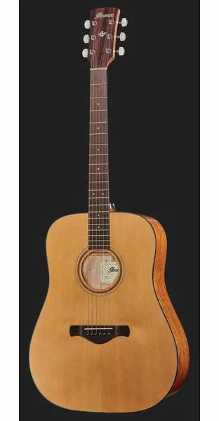 Ibanez AW65-LG detail 2