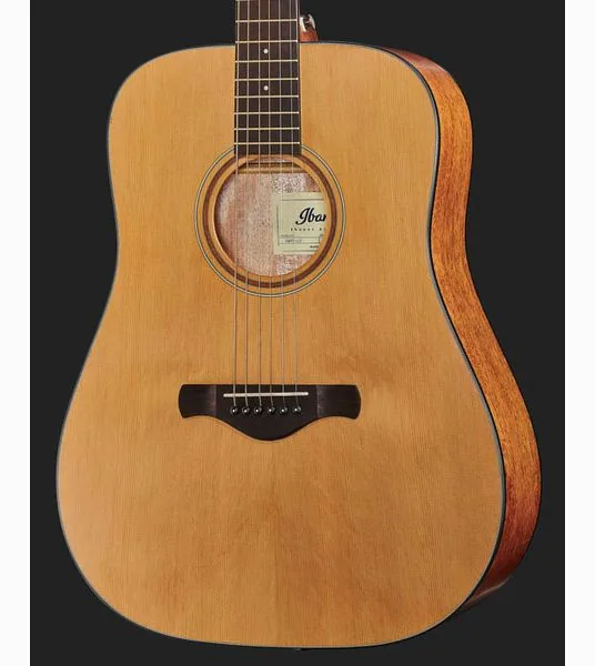 Ibanez AW65-LG detail 4