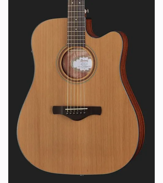 Ibanez AW65ECE-LG detail 4