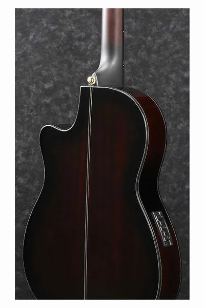 Ibanez GA35TCE-DVS detail 3