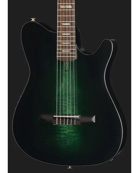 Ibanez FRH20FMN-DGL detail 4