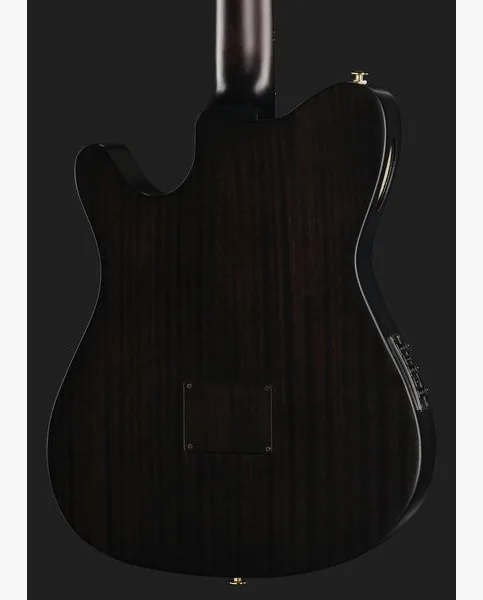 Ibanez FRH20FMN-DGL detail 5