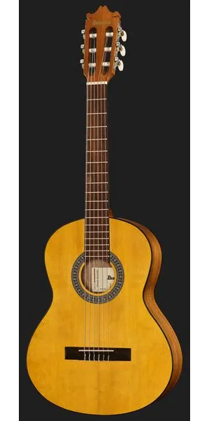 Ibanez GA2-OAM detail 3
