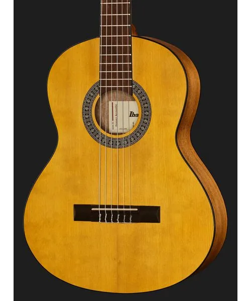 Ibanez GA2-OAM detail 4