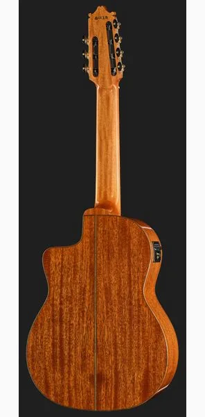 Ibanez GA3007CE-NT detail 3